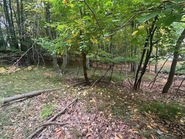 11269 Apache Wells Court, Unit 611, Canadian Lakes, MI 49346
