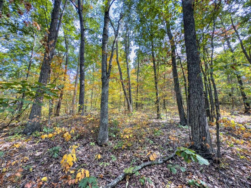 Tract 2 Perry Ridge Rd , Wilkesville, OH 45695 Photo 12