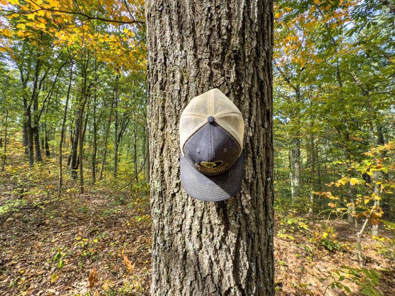 Tract 2 Perry Ridge Rd , Wilkesville, OH 45695 Photo 15