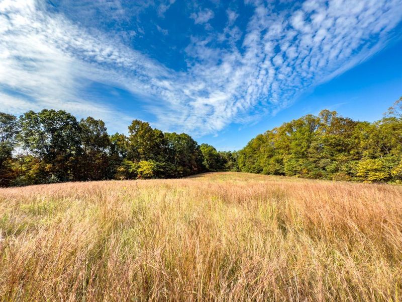 Tract 2 Perry Ridge Rd , Wilkesville, OH 45695 Photo 3