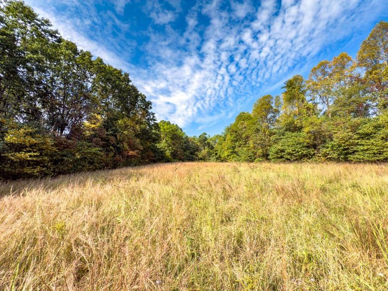 Tract 2 Perry Ridge Rd , Wilkesville, OH 45695 Photo 4