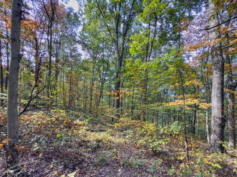 Tract 2 Perry Ridge Rd , Wilkesville, OH 45695 Photo 5