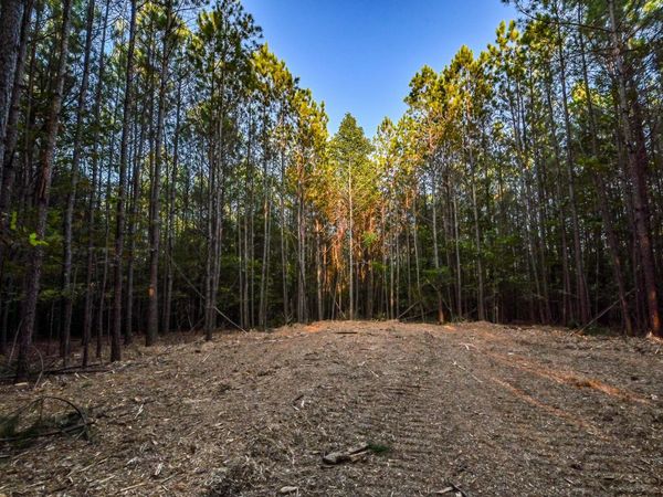 0 Brush Creek Rd, Hohenwald, TN 38462