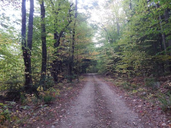 Lot#R13L50 Corn Hill Road, Brownfield, ME 04010