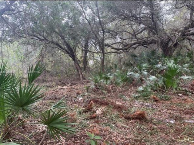 1208 Abbot Avenue, Lehigh Acres, FL 33972 Photo