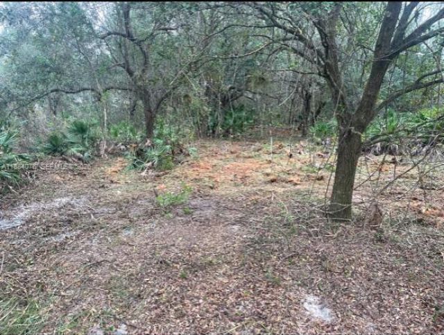 1208 Abbot Avenue, Lehigh Acres, FL 33972 Photo