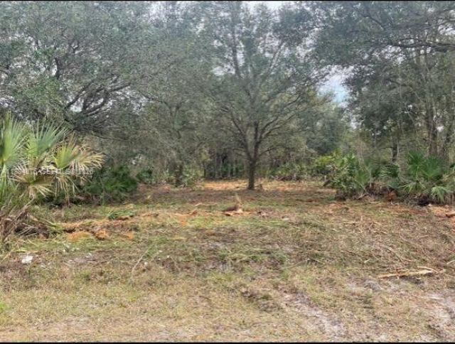 1208 Abbot Avenue, Lehigh Acres, FL 33972 Photo