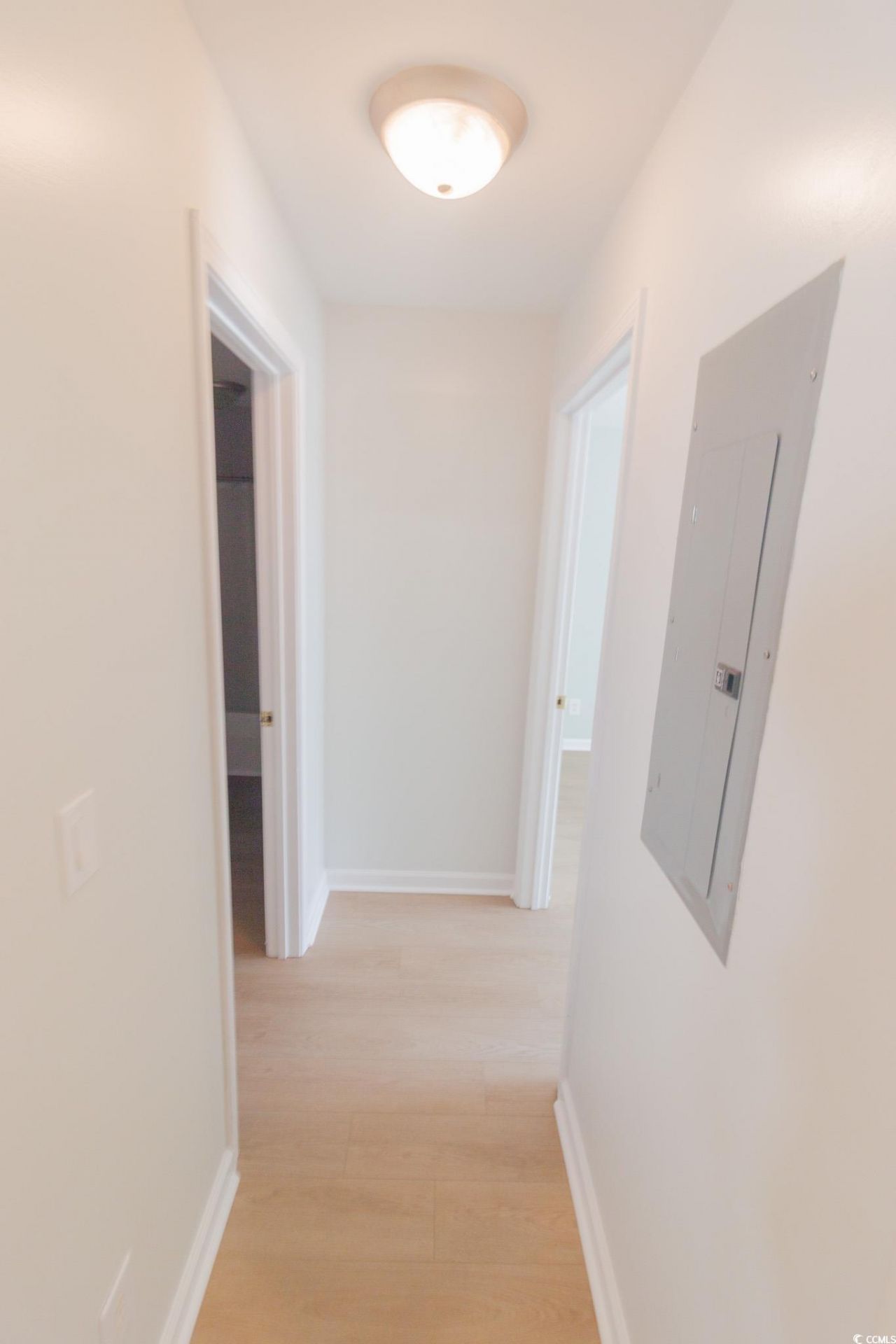 4838 Innisbrook Ct. Photo 6