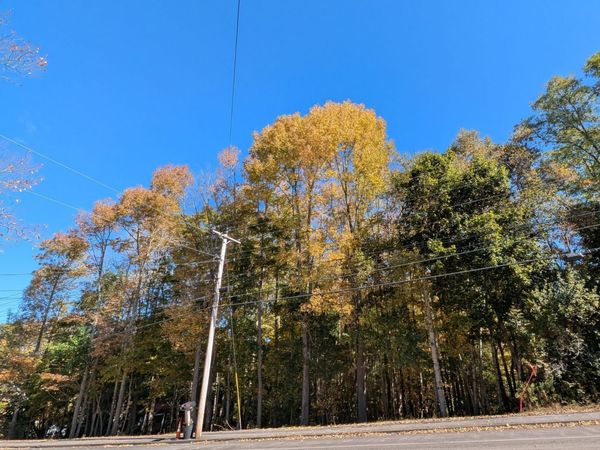 225 Waldo Avenue, Belfast, ME 04915