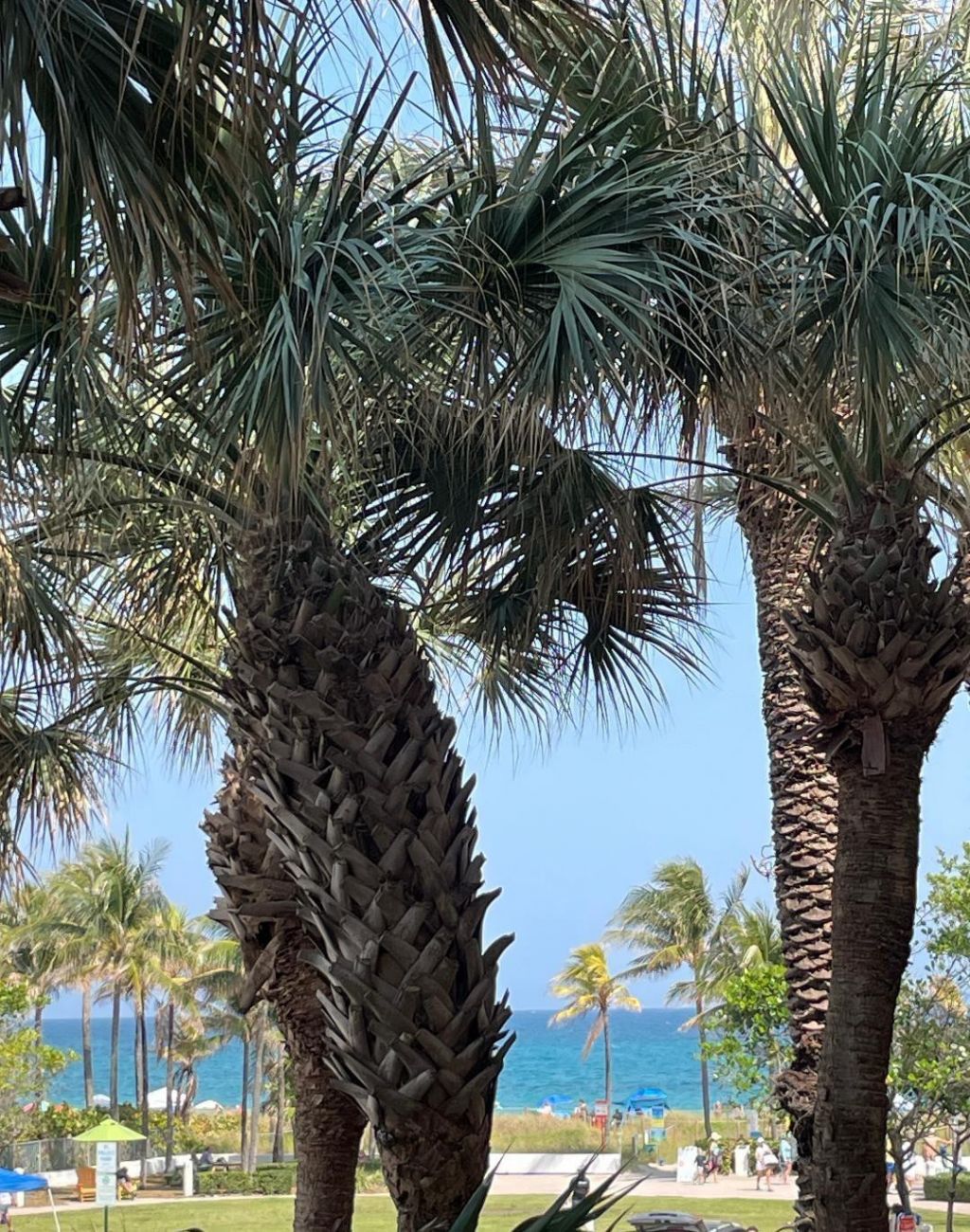 4445 El Mar Drive, Unit 209, Lauderdale by the Sea, FL 33308 Photo