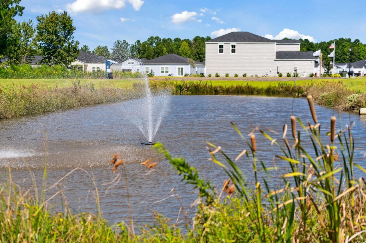 1100 Tibetan St. Photo 34