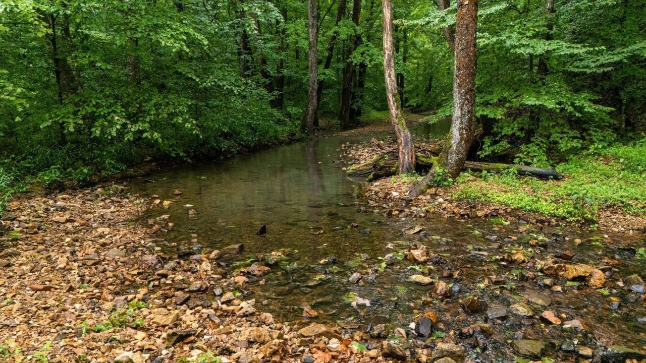 0 Furnace Hollow Road, Dickson, TN 37055 Main Photo