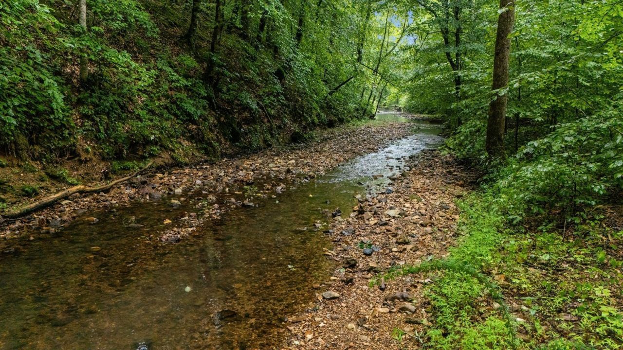 0 Furnace Hollow Road, Dickson, TN 37055 Main Photo