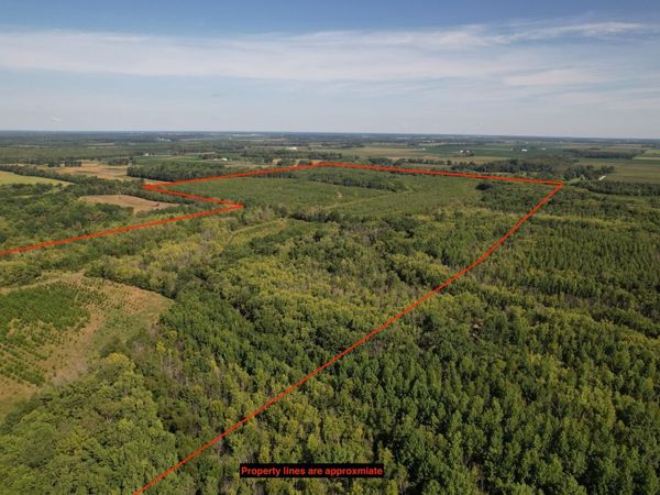 Tract 1 Mint Lane, Clay City, IL 62824