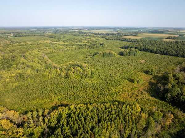 Tract 2 Mint Lane, Clay City, IL 62824