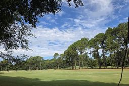 1008 Maccoa Dr. photo 4