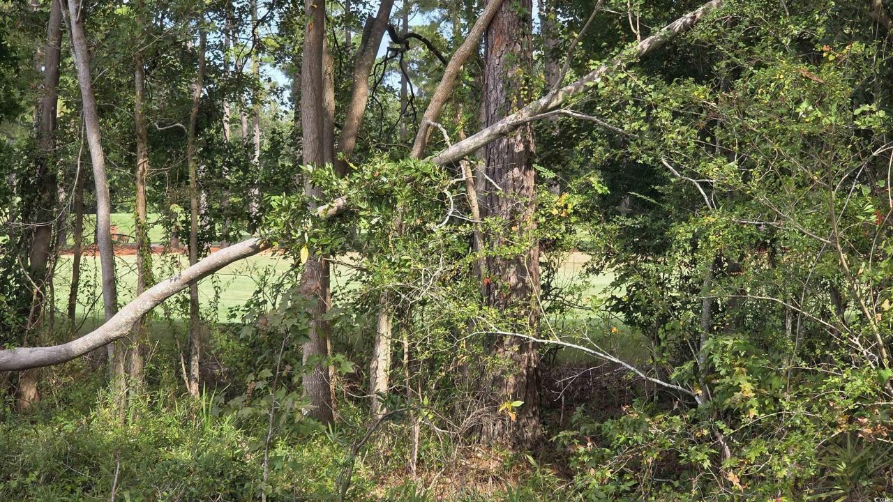 1008 Maccoa Dr. Photo 5