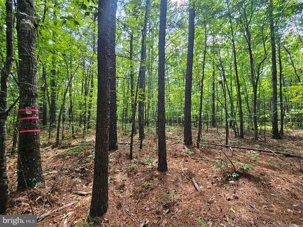 WEST JAMES ANDERSON HIGHWAY, GLADSTONE, VA 24553