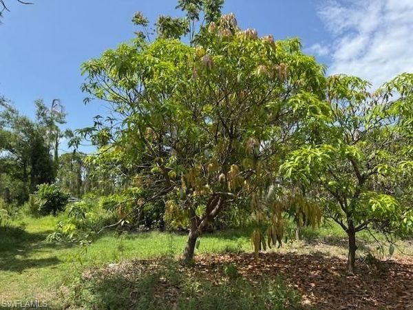 5431 Gamebird LN , BOKEELIA, FL 33922