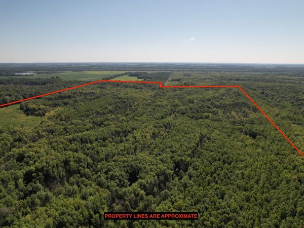 Tract 3 Mayflower Road, Clay City, IL 62824