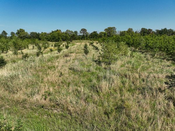 Tract 5 East Radio Tower Road, Clay City, IL 62824