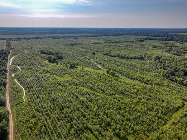 Tract 4 Mayflower Road, Clay City, IL 62824