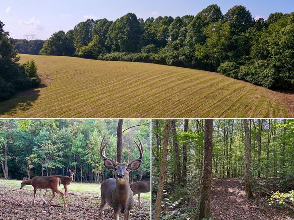 0 Wolf Hill Road, Unit (Tract 7 W, McArthur, OH 45651