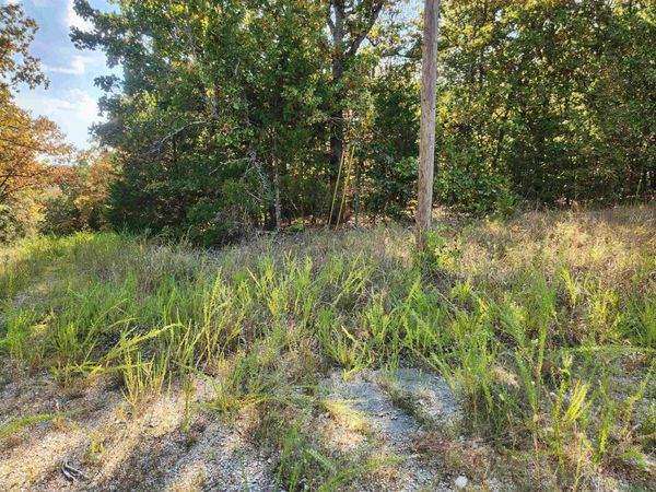 L16B5 Colonino Drive, Cherokee Village, AR 72529