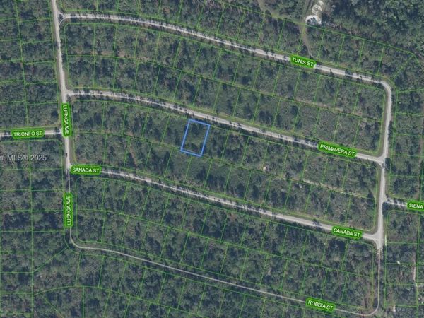 8649 Primavera Street, Sebring, FL 33872