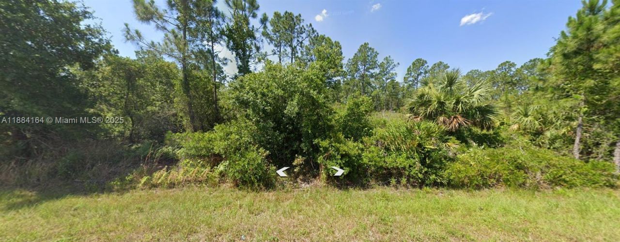 8649 Primavera Street, Sebring, FL 33872 Photo