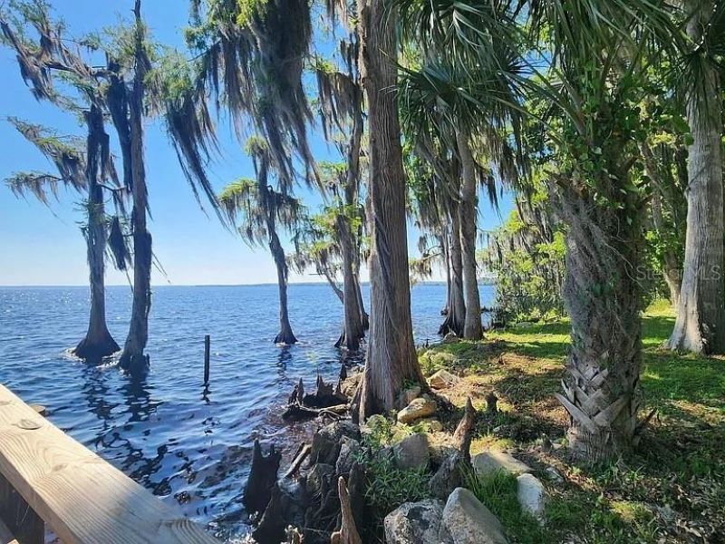 817 Paradise Boulevard, Georgetown, FL 32139 Photo