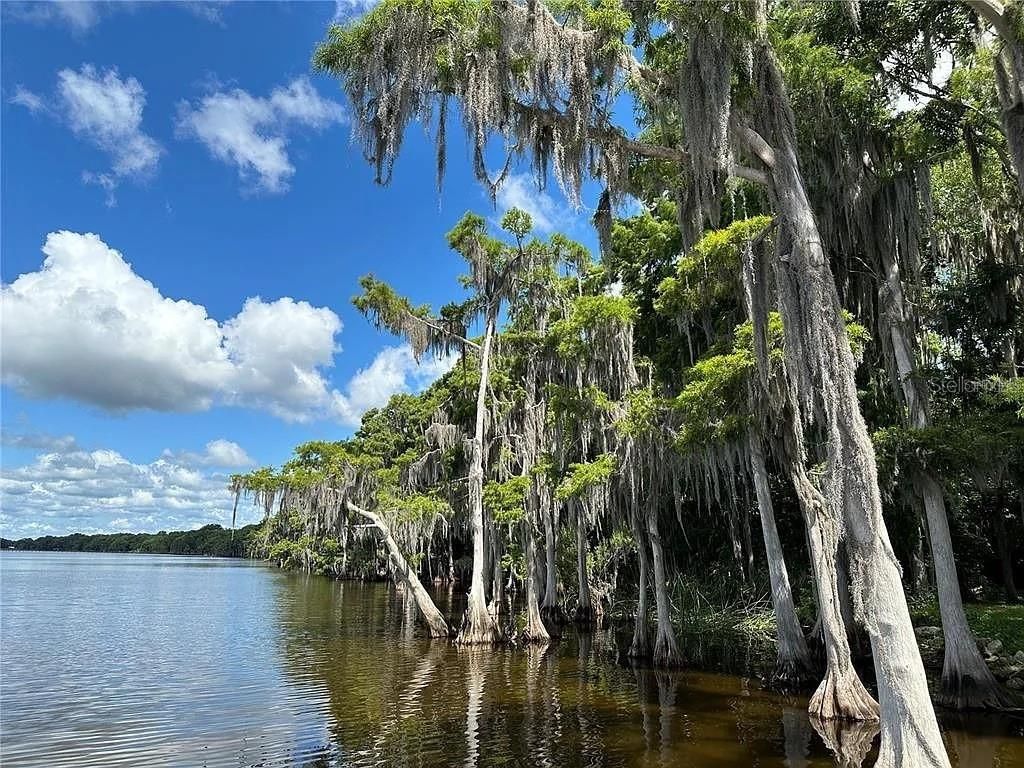 817 Paradise Boulevard, Georgetown, FL 32139 Photo