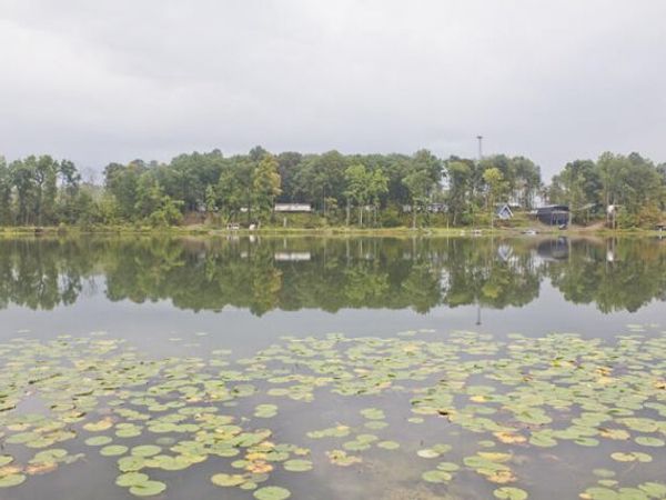 10060 M-216, Marcellus, MI 49067