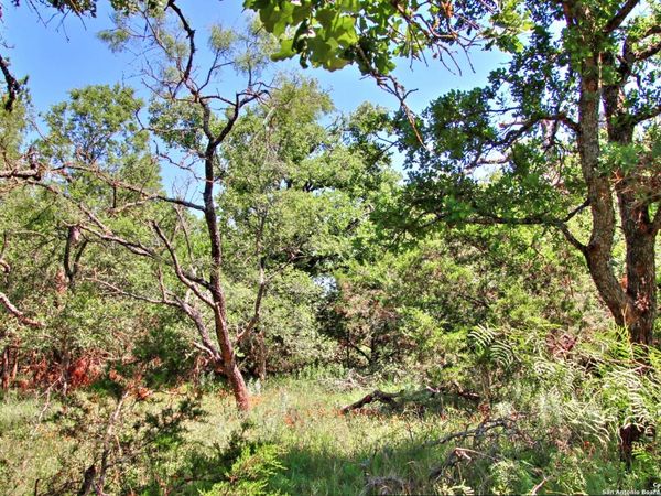 LOT 6 RR 1323, Willow City, TX 78675