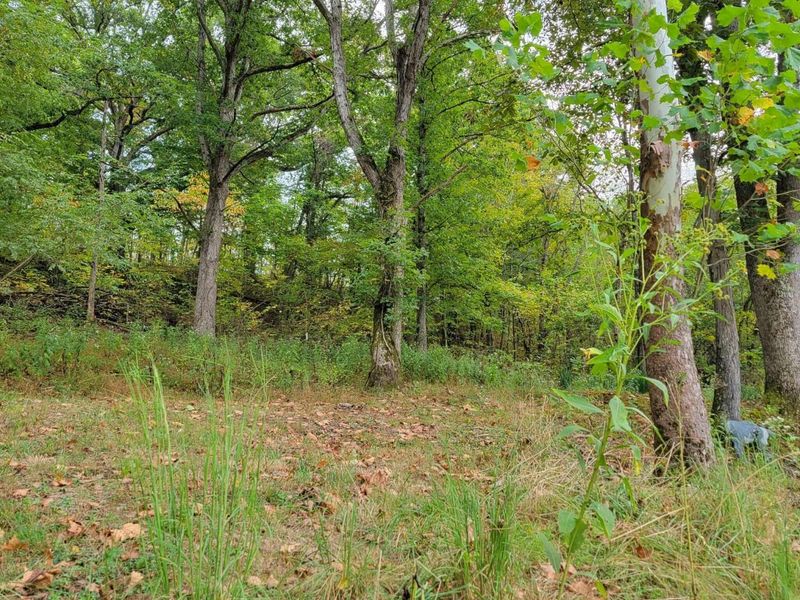 1573 Graham School Road, Gallipolis, OH 45631 Photo 31