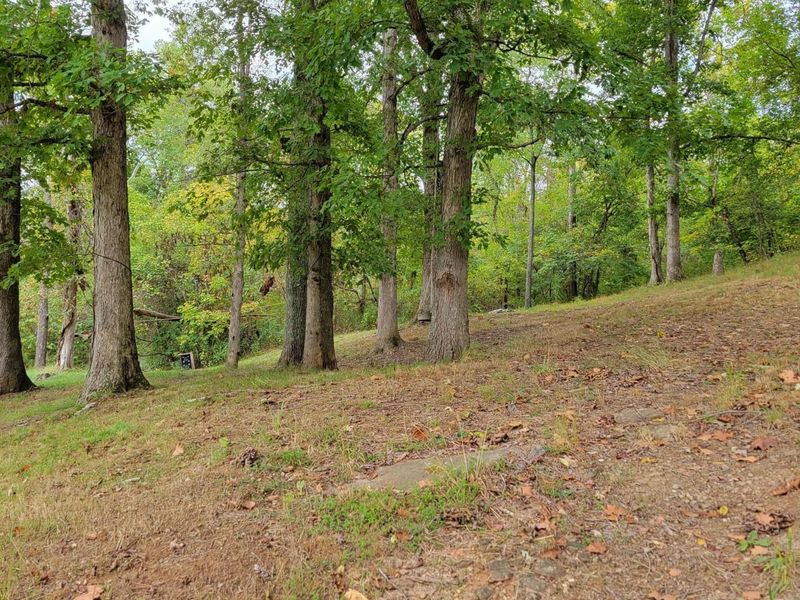 1573 Graham School Road, Gallipolis, OH 45631 Photo 33