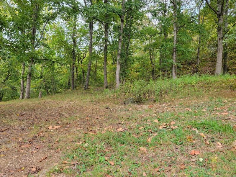 1573 Graham School Road, Gallipolis, OH 45631 Photo 34