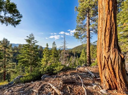 350 Glenmore Way, South Lake Tahoe, CA 96150 Photo