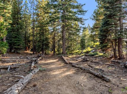 350 Glenmore Way, South Lake Tahoe, CA 96150 Photo