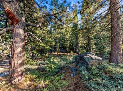 350 Glenmore Way, South Lake Tahoe, CA 96150 Photo