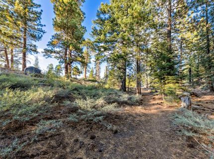 350 Glenmore Way, South Lake Tahoe, CA 96150 Photo