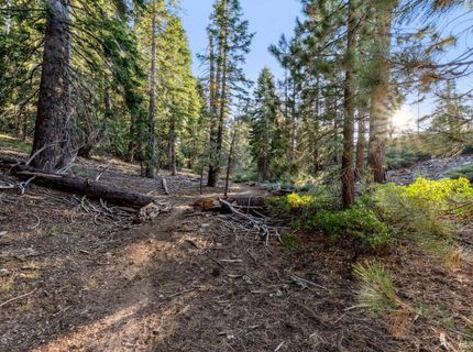 350 Glenmore Way, South Lake Tahoe, CA 96150 Photo