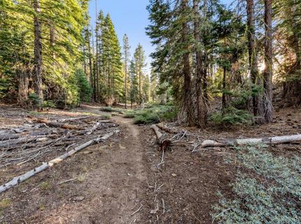 350 Glenmore Way, South Lake Tahoe, CA 96150 Photo