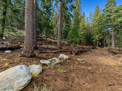 350 Glenmore Way, South Lake Tahoe, CA 96150 Photo