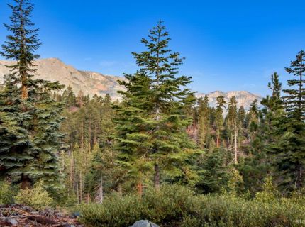 350 Glenmore Way, South Lake Tahoe, CA 96150 Photo