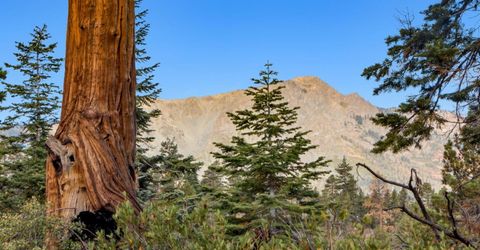 350 Glenmore Way, South Lake Tahoe, CA 96150 Photo