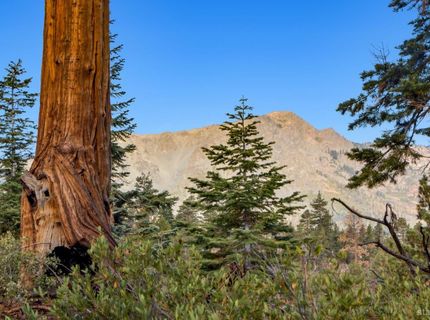 350 Glenmore Way, South Lake Tahoe, CA 96150 Photo