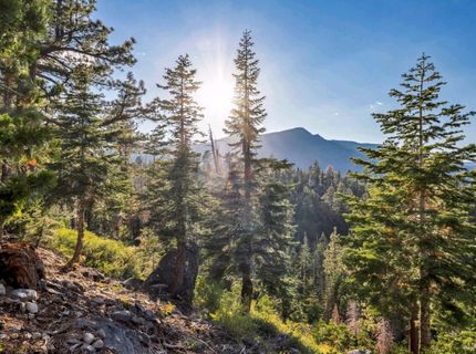 350 Glenmore Way, South Lake Tahoe, CA 96150 Photo