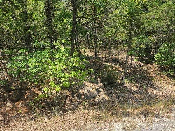 L-61, B-7 Lochloosa Drive, Cherokee Village, AR 72529