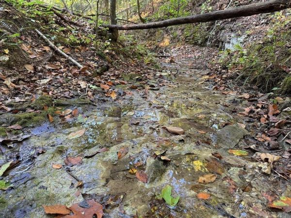 Fawn Drive, Harriet, AR 72639